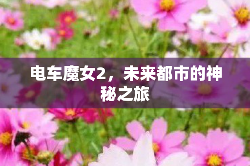 未来都市的神秘之旅图片
