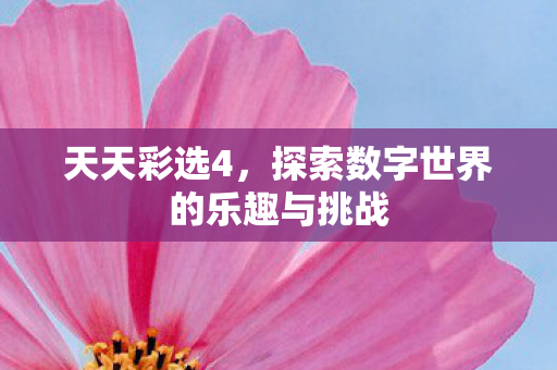 探索数字世界的乐趣与挑战图片
