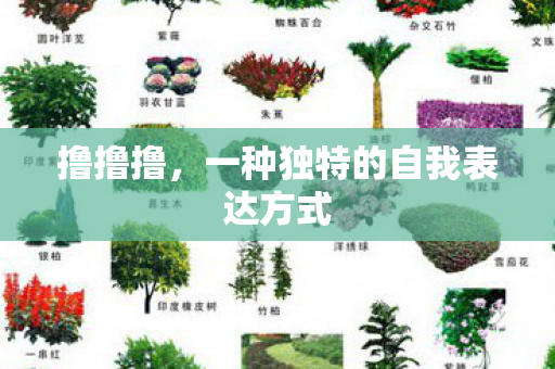 一种独特的自我表达方式图片