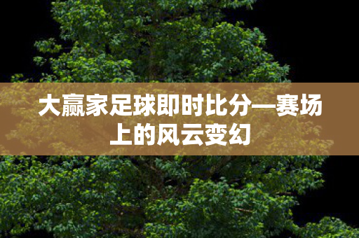 大赢家足球即时比分图片