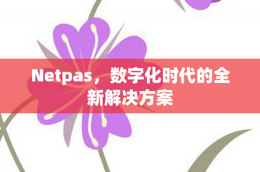 数字化时代的全新解决方案图片