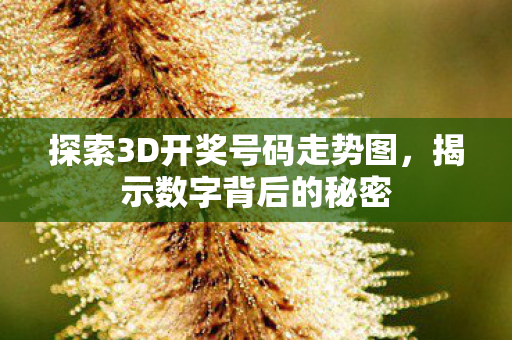 探索3D开奖号码走势图图片