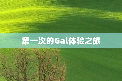 第一次的Gal体验之旅图片