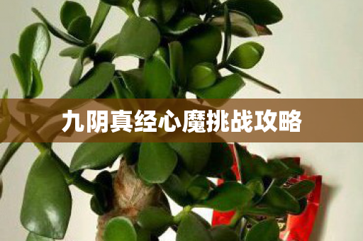 九阴真经心魔挑战攻略图片