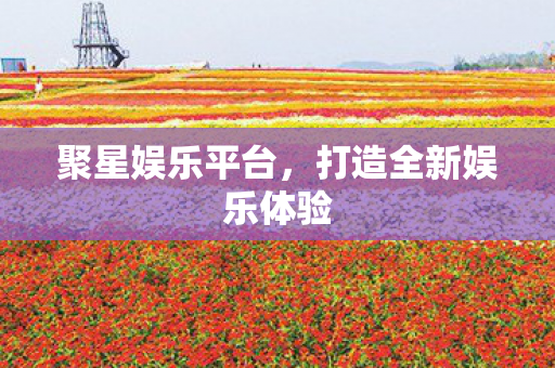 打造全新娱乐体验图片