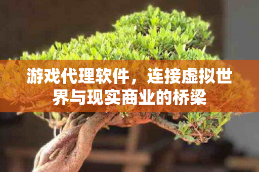 连接虚拟世界与现实商业的桥梁图片
