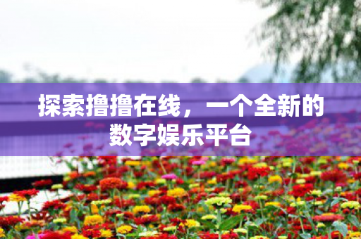 一个全新的数字娱乐平台图片