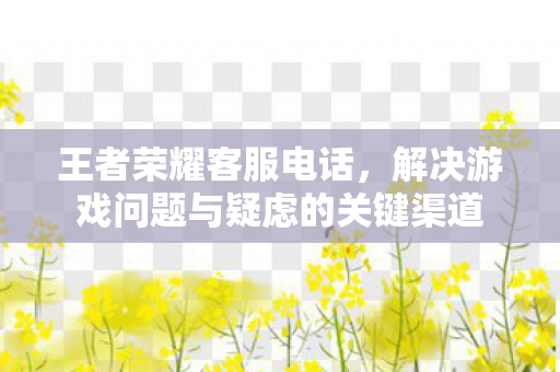 解决游戏问题与疑虑的关键渠道图片