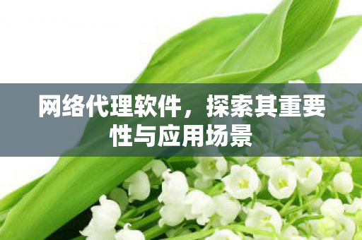 探索其重要性与应用场景图片