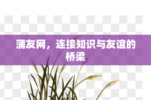 连接知识与友谊的桥梁图片