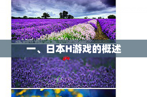 日本H游戏的概述图片