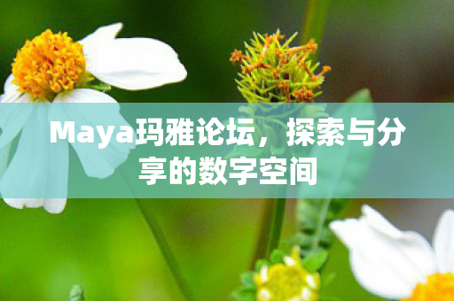 探索与分享的数字空间图片