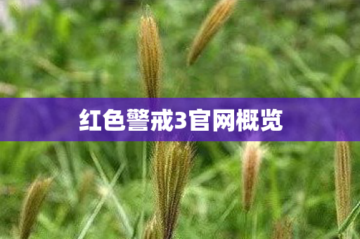 红色警戒3官网概览图片