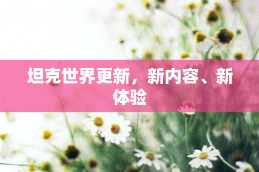 坦克世界更新图片