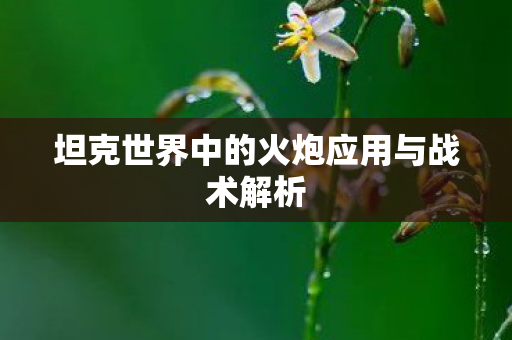 坦克世界中的火炮应用与战术解析图片