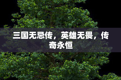 三国无忌传图片