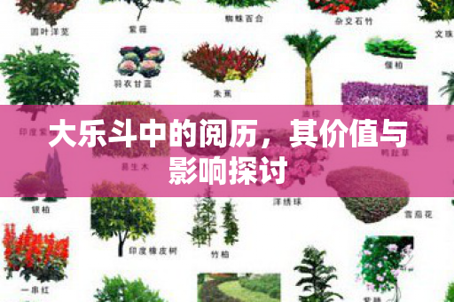 其价值与影响探讨图片