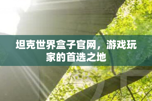 游戏玩家的首选之地图片