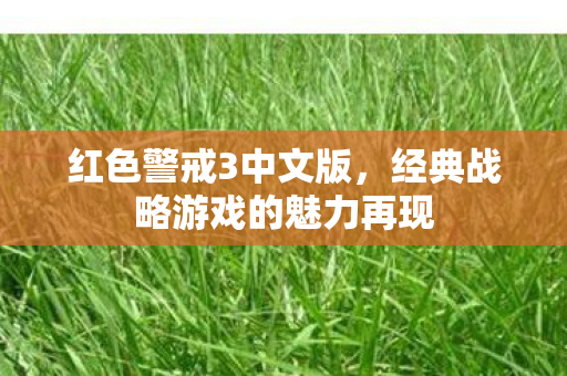 经典战略游戏的魅力再现图片