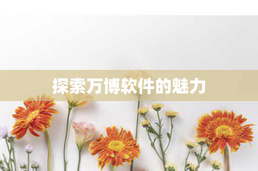 探索万博软件的魅力图片