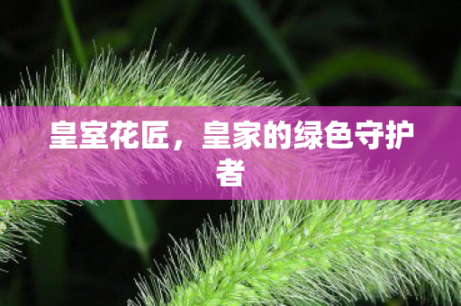 皇家的绿色守护者图片