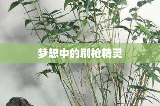 梦想中的刷枪精灵图片