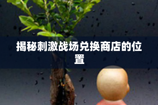 揭秘刺激战场兑换商店的位置图片