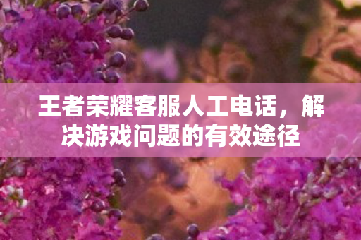 解决游戏问题的有效途径图片