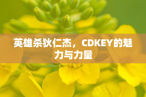 CDKEY的魅力与力量图片