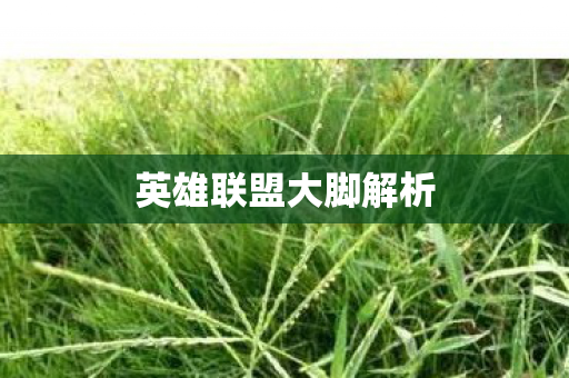 英雄联盟大脚解析图片