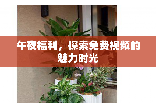 探索免费视频的魅力时光图片