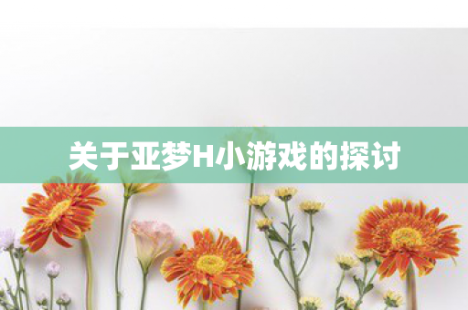 关于亚梦H小游戏的探讨图片