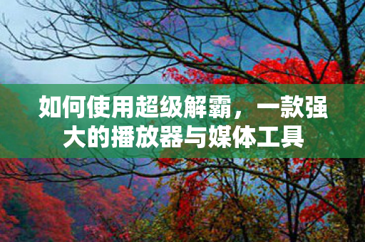 一款强大的播放器与媒体工具图片