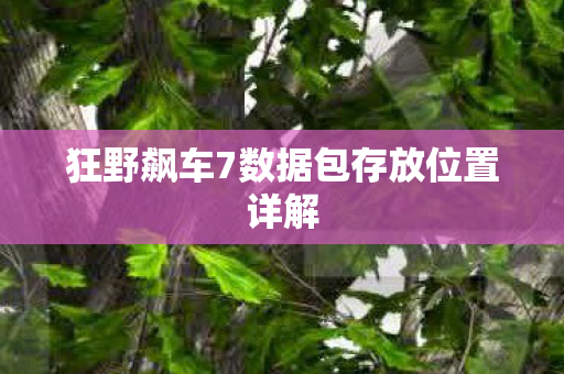 狂野飙车7数据包存放位置详解图片