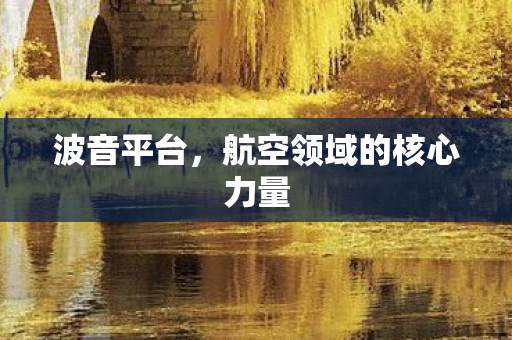 航空领域的核心力量图片