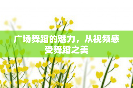 从视频感受舞蹈之美图片