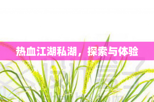 热血江湖私湖图片