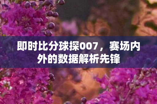 赛场内外的数据解析先锋图片