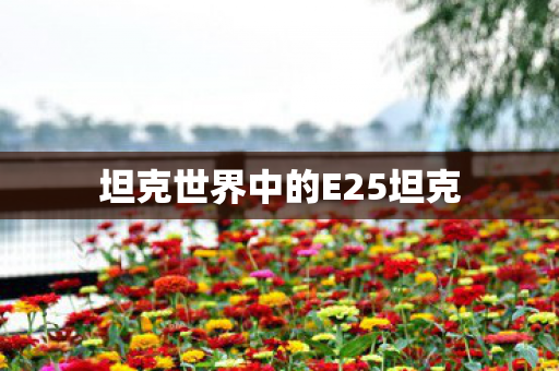 坦克世界中的E25坦克图片