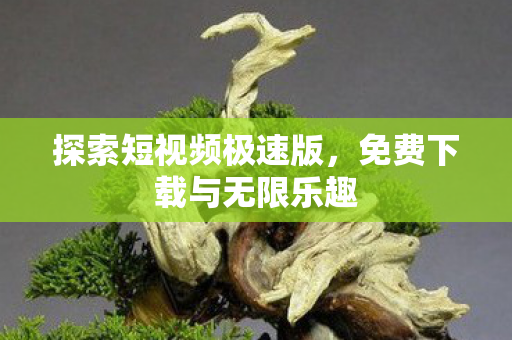 免费下载与无限乐趣图片