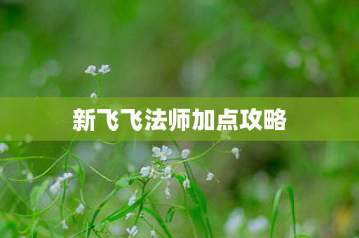 新飞飞法师加点攻略图片