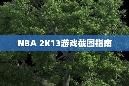 NBA 2K13游戏截图指南图片