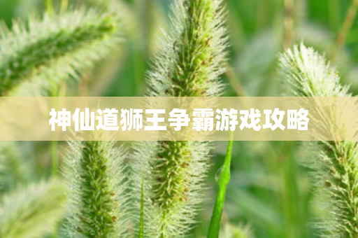 神仙道狮王争霸游戏攻略图片