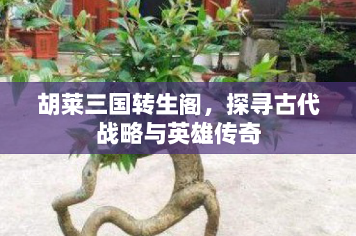 探寻古代战略与英雄传奇图片