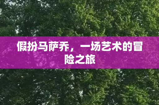一场艺术的冒险之旅图片