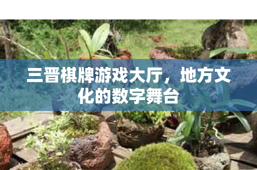 地方文化的数字舞台图片