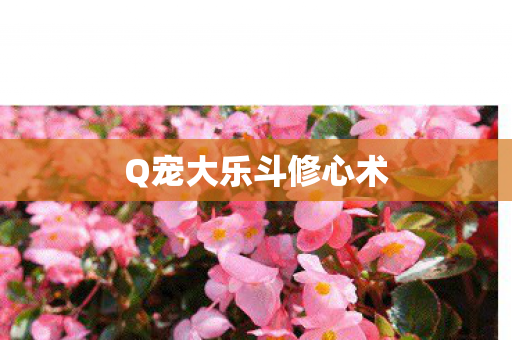Q宠大乐斗修心术图片