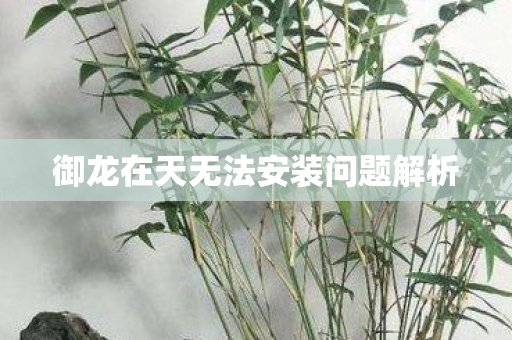 御龙在天无法安装问题解析图片