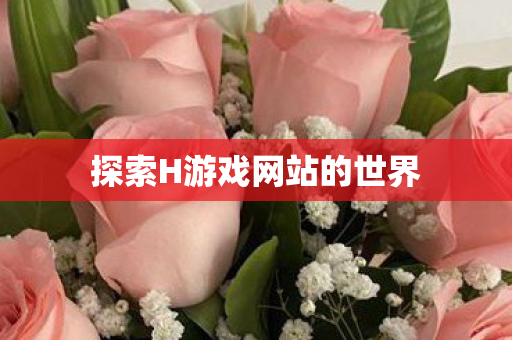 探索H游戏网站的世界图片