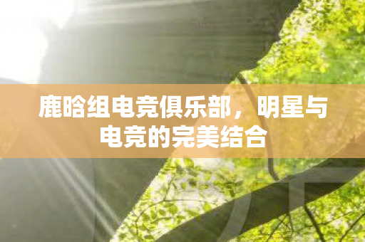 明星与电竞的完美结合图片
